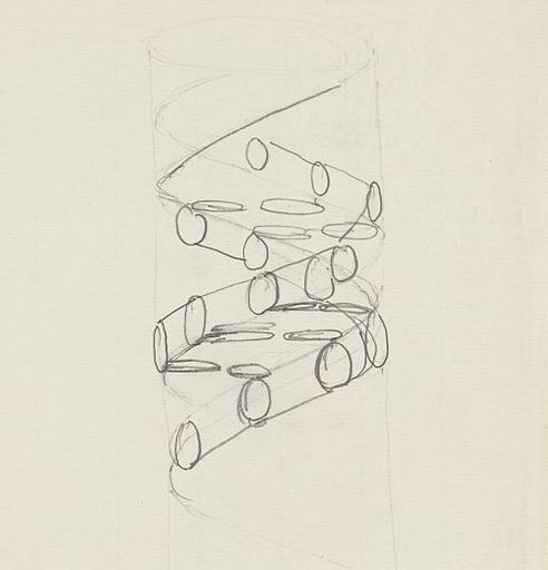 Pencil sketch of the DNA double helix by Francis Crick, Wellcome Images. Wikimedia Commons, https://commons.wikimedia.org/wiki/File:Pencil_sketch_of_the_DNA_double_helix_by_Francis_Crick_Wellcome_L0051225.jpg